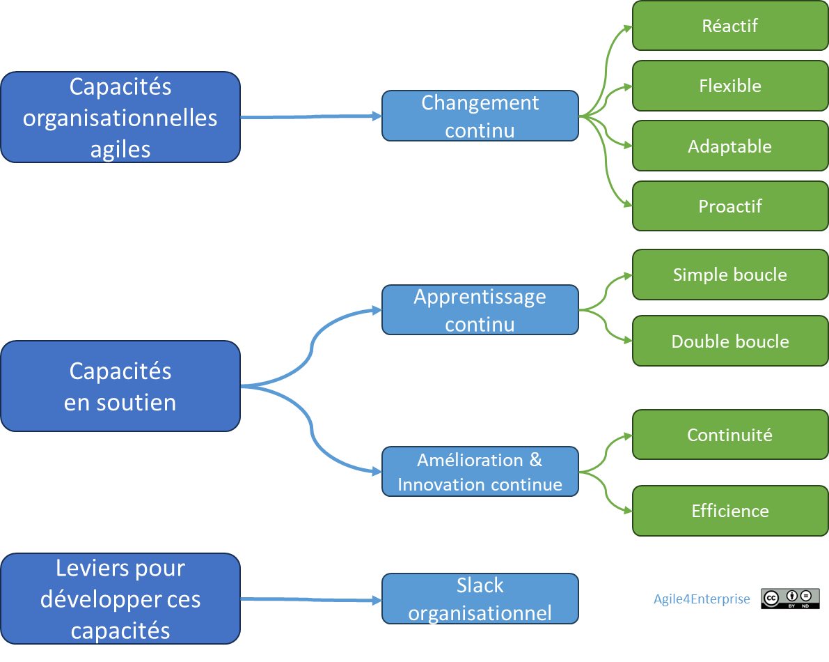 Synthèse des capacités à développer pour une entreprise agile